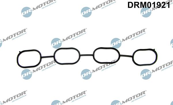 Lizarte DRM01921 - Tiiviste, imusarja inparts.fi