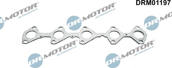 Lizarte DRM01197 - Tiiviste, pakosarja inparts.fi