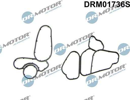 Lizarte DRM01736S - Tiivistesarja, öljynjäähdytin inparts.fi