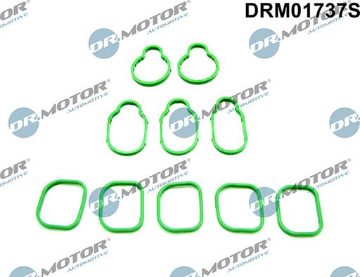 Lizarte DRM01737S - Tiivistesarja, imusarja inparts.fi