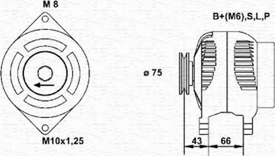 Magneti Marelli 943355172010 - Laturi inparts.fi