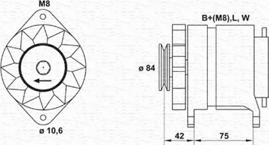 Magneti Marelli 943 35 659 101 0 - Laturi inparts.fi