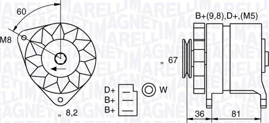 Magneti Marelli 054022384010 - Laturi inparts.fi