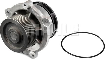 MAHLE CP 447 000P - Vesipumppu inparts.fi