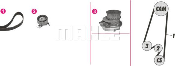 MAHLE CPK 65 000P - Vesipumppu + jakohihnasarja inparts.fi