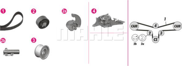 MAHLE CPK 102 000P - Vesipumppu + jakohihnasarja inparts.fi