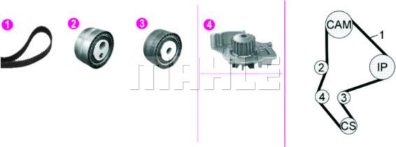 MAHLE CPK 135 000P - Vesipumppu + jakohihnasarja inparts.fi