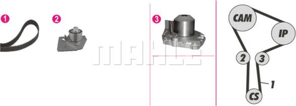 MAHLE CPK 86 000P - Vesipumppu + jakohihnasarja inparts.fi