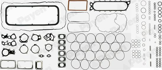 Payen FA5010 - Täydellinen tiivistesarja, moottori inparts.fi