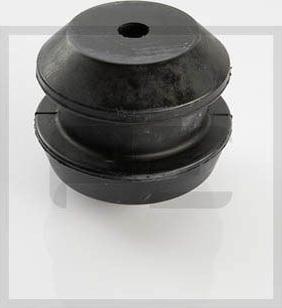 PE Automotive 030.238-00A - Moottorin tuki inparts.fi