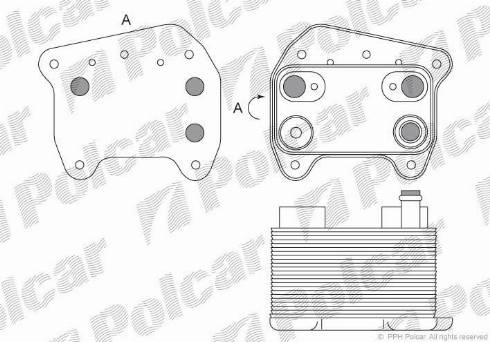 Polcar 5003L82X - Moottoriöljyn jäähdytin inparts.fi