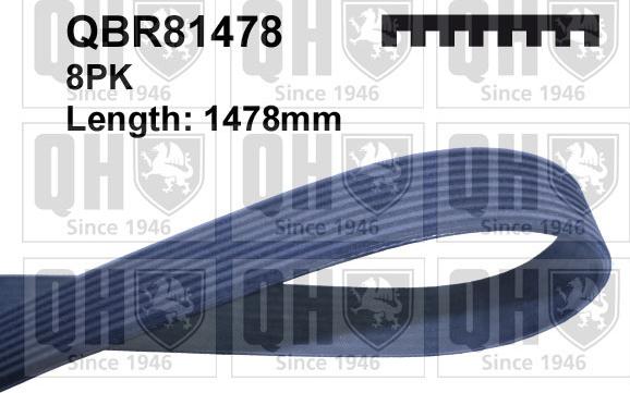 Quinton Hazell QBR81478 - Moniurahihna inparts.fi