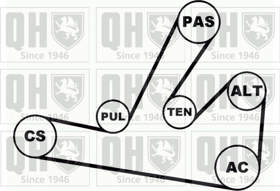 Quinton Hazell QDK59 - Moniurahihnasarja inparts.fi