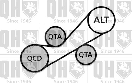 Quinton Hazell QDK69 - Moniurahihnasarja inparts.fi