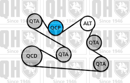 Quinton Hazell QDK135 - Moniurahihnasarja inparts.fi