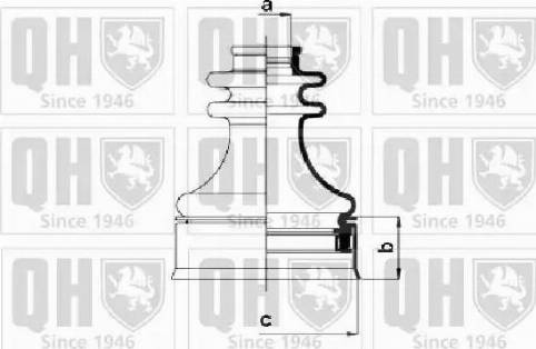 Quinton Hazell QJB568 - Paljekumi, vetoakseli inparts.fi