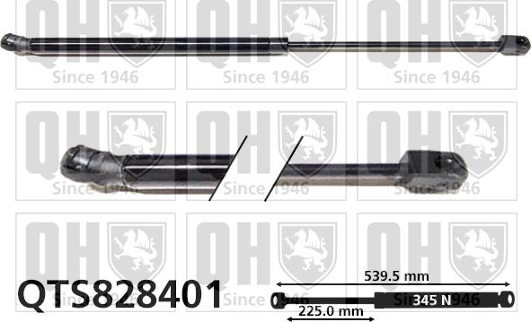 Quinton Hazell QTS828401 - Kaasujousi, tavaratila inparts.fi