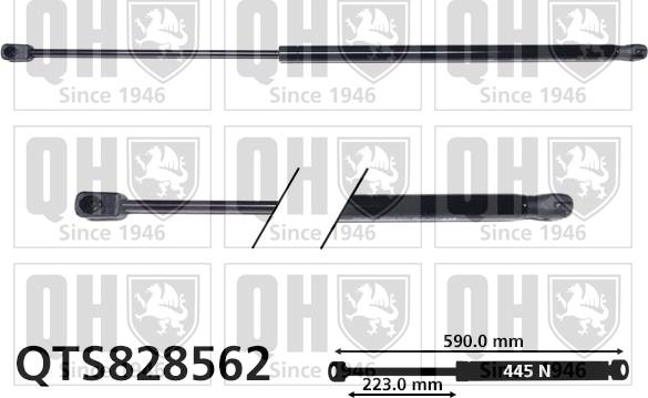 Quinton Hazell QTS828562 - Kaasujousi, tavaratila inparts.fi