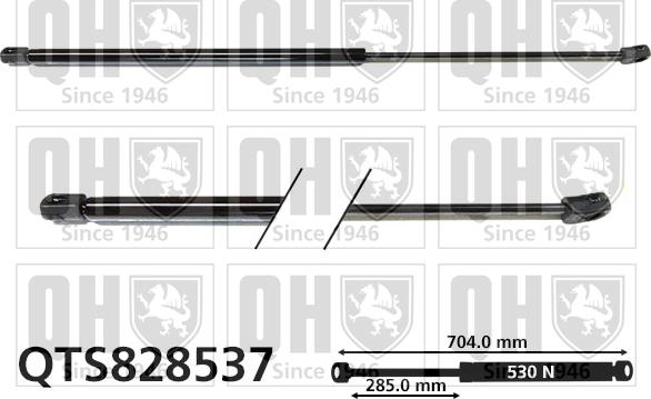 Quinton Hazell QTS828537 - Kaasujousi, tavaratila inparts.fi