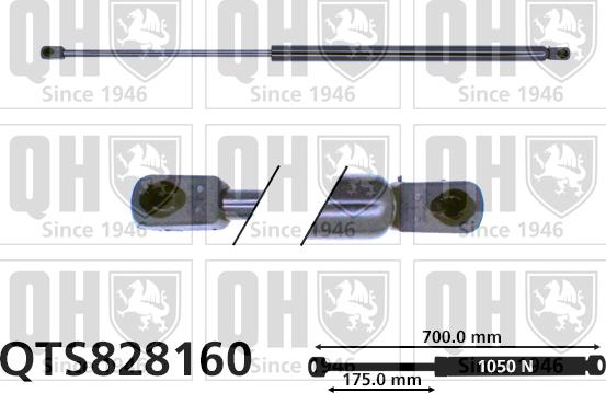 Quinton Hazell QTS828160 - Kaasujousi, tavaratila inparts.fi