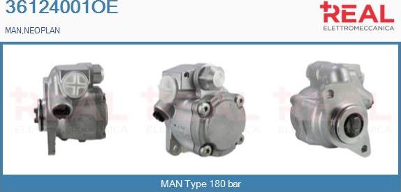 REAL 36124001OE - Hydrauliikkapumppu, ohjaus inparts.fi