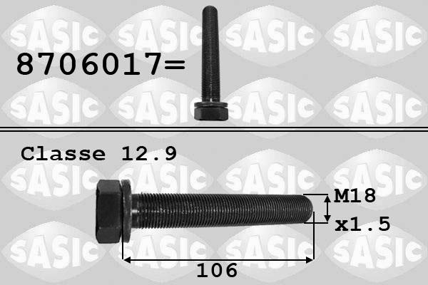 Sasic 8706017 - Hihnapyörän ruuvi inparts.fi