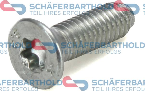 Schferbarthold 315 16 050 01 11 - Ruuvi, jarrulevy inparts.fi