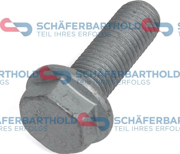 Schferbarthold 317 18 770 01 22 - Ruuvi, jarrusatula inparts.fi