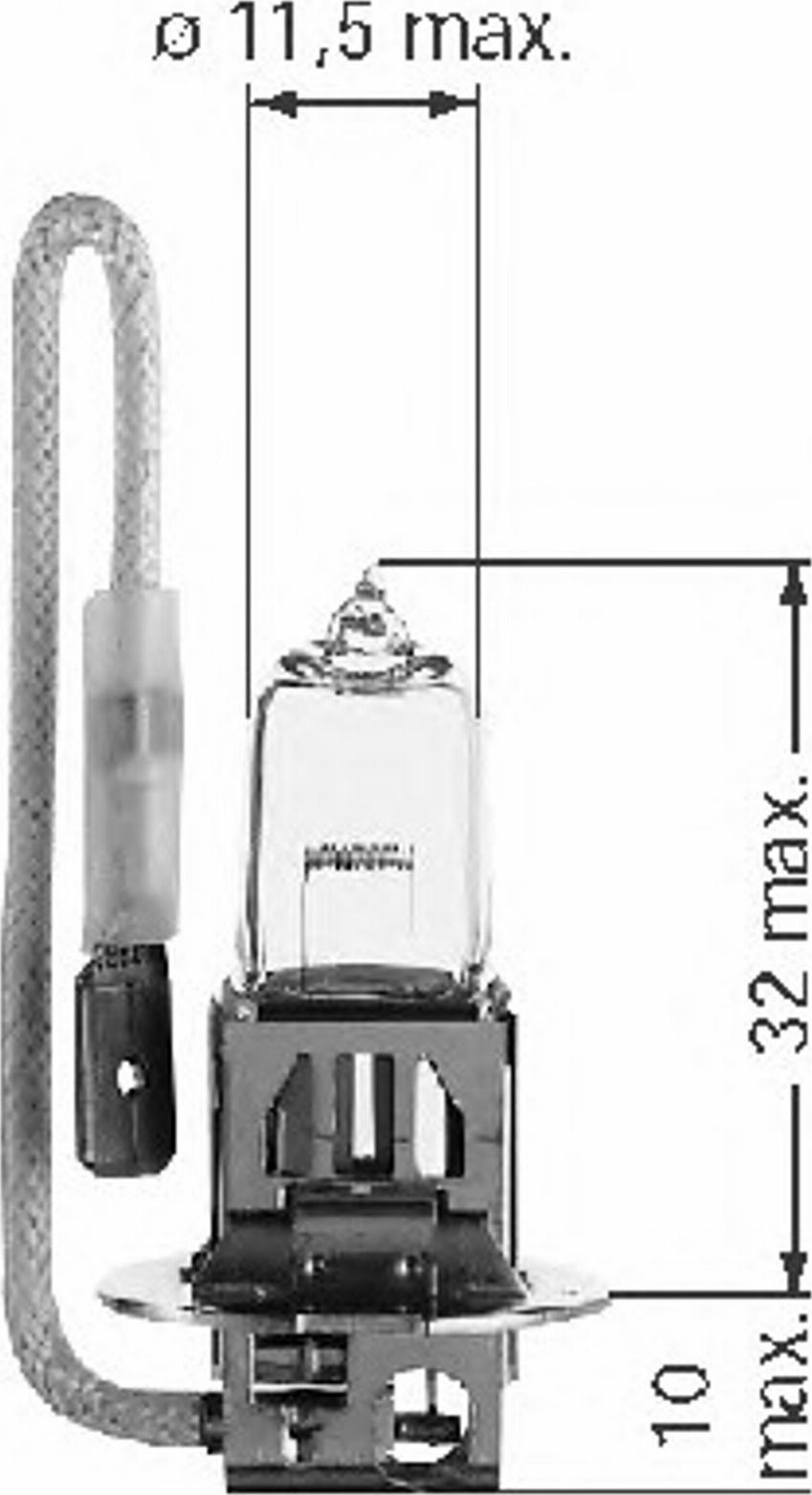 TMI BR001558 - Jarrusatula inparts.fi