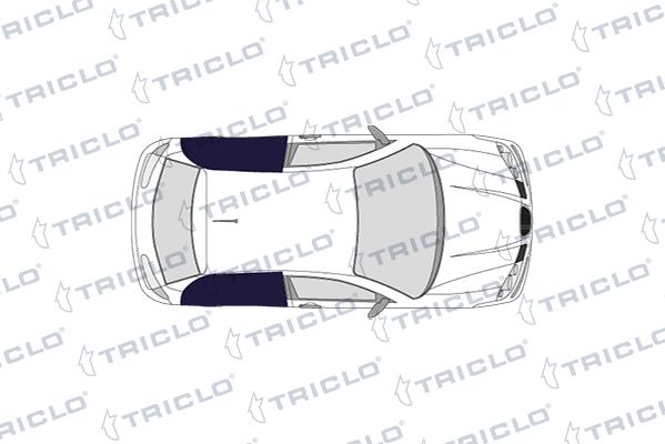 Triclo 145135 - Kytkin, lasinnostin inparts.fi