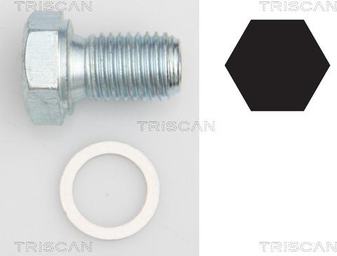 Triscan 9500 1101 - Kierretulppa, öljypohja inparts.fi