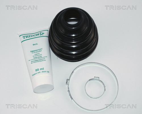 Triscan 8540 16802 - Paljekumi, vetoakseli inparts.fi