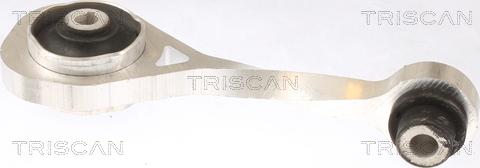Triscan 8505 10111 - Moottorin tuki inparts.fi