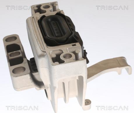 Triscan 8505 29129 - Moottorin tuki inparts.fi