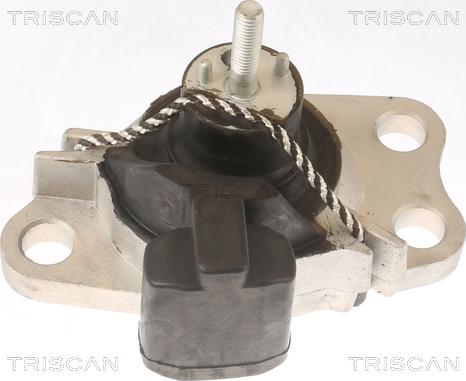Triscan 8505 25100 - Moottorin tuki inparts.fi