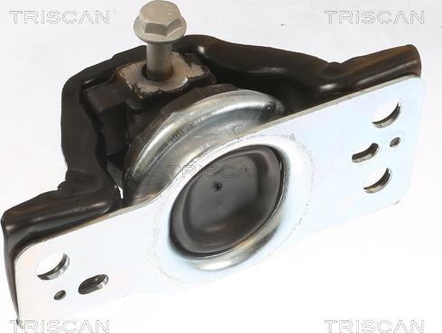 Triscan 8505 25113 - Moottorin tuki inparts.fi