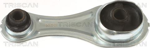 Triscan 8505 25126 - Moottorin tuki inparts.fi