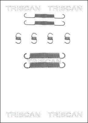 Triscan 8105 702529 - Tarvikesarja, jarrukengät inparts.fi