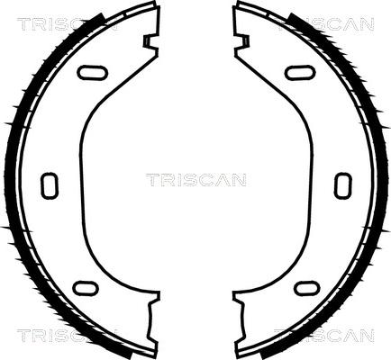 Triscan 8100 10290 - Jarrukenkäsarja, seisontajarru inparts.fi