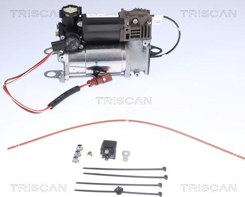 Triscan 8725 29101 - Kompressori, paineilmalaite inparts.fi