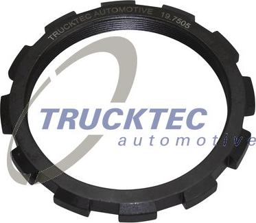 Trucktec Automotive 01.32.196 - Mutteri inparts.fi