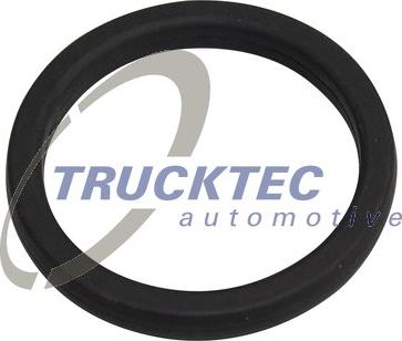 Trucktec Automotive 03.19.210 - Tiiviste, vesipumppu inparts.fi