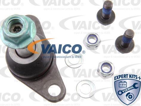 VAICO V95-9519 - Pallonivel inparts.fi