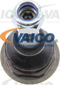 VAICO V40-0844 - Pallonivel inparts.fi