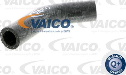 VAICO V40-0367 - Jäähdyttimen letku inparts.fi