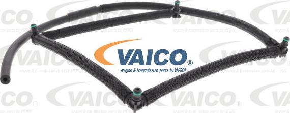 VAICO V42-0858 - Letku, polttoaineen ylivuoto inparts.fi