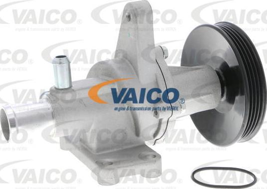 VAICO V51-50005 - Vesipumppu inparts.fi