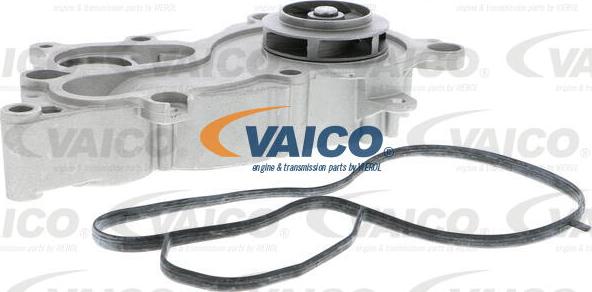 VAICO V10-50093 - Vesipumppu inparts.fi