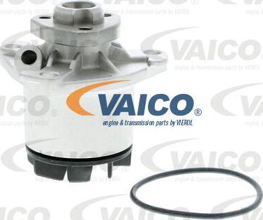 VAICO V10-50040 - Vesipumppu inparts.fi