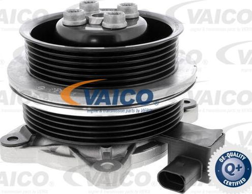 VAICO V10-50065 - Vesipumppu inparts.fi